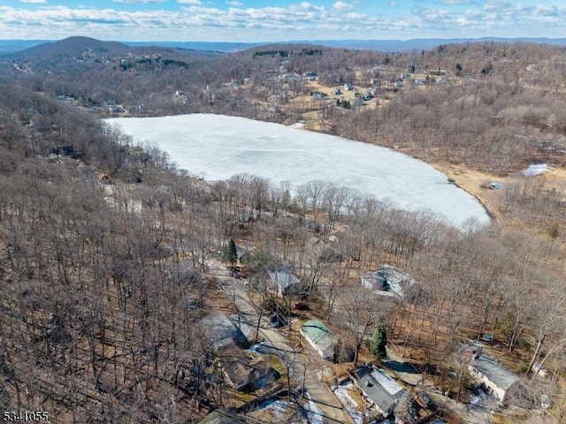 bird's eye view with a mountain view and a forest view