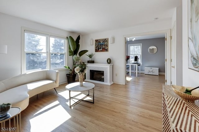 living area with light wood-style floors, baseboards, and a glass covered fireplace