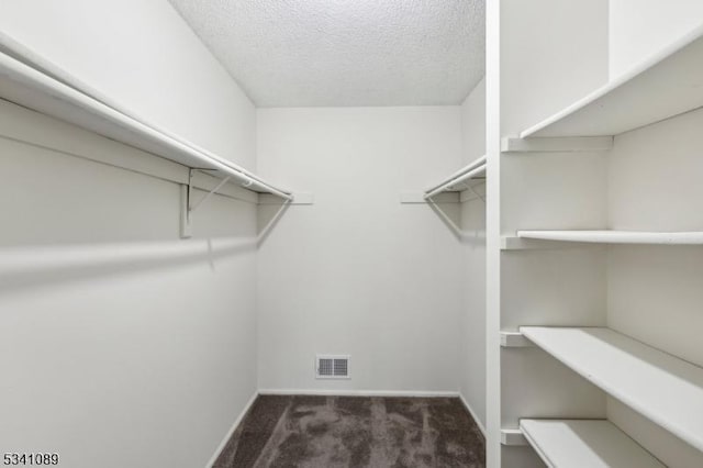 spacious closet with carpet floors and visible vents