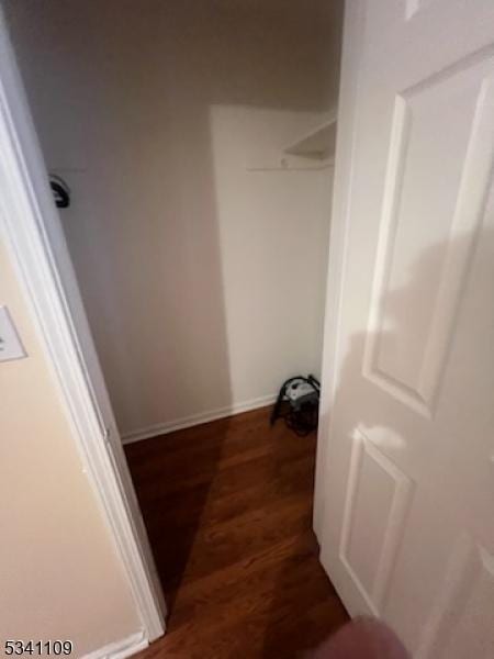 spacious closet featuring wood finished floors