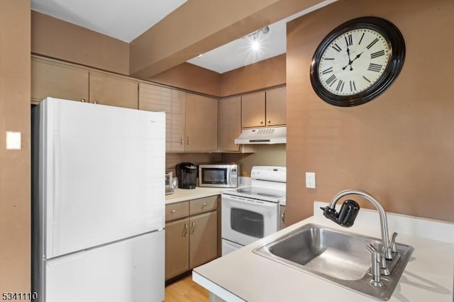 kitchen with light wood-style flooring, under cabinet range hood, white appliances, a sink, and light countertops