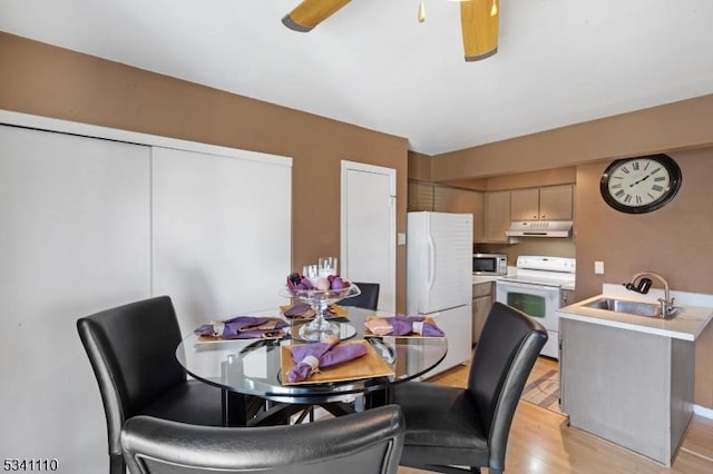 dining area featuring ceiling fan and light wood finished floors