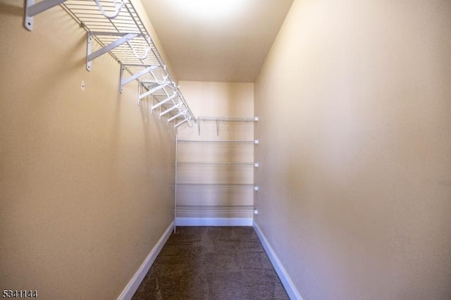 walk in closet featuring carpet flooring