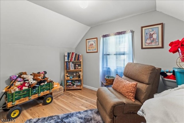 interior space featuring vaulted ceiling and wood finished floors