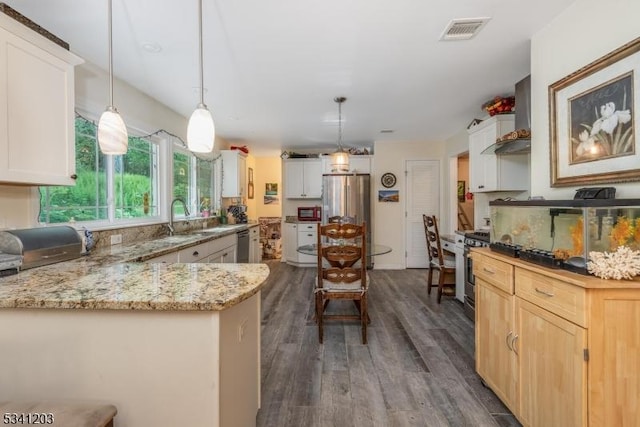 kitchen featuring visible vents, light stone counters, dark wood-style flooring, stainless steel appliances, and a sink