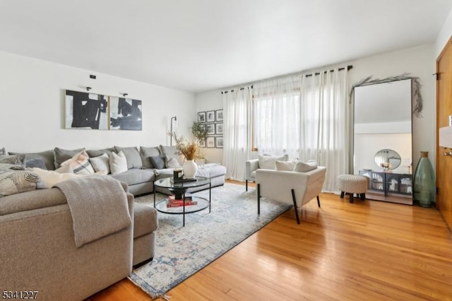 living area featuring wood finished floors