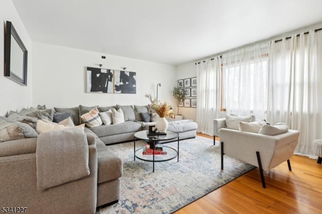 living area with wood finished floors