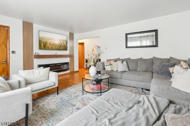 living room with wood finished floors and a glass covered fireplace