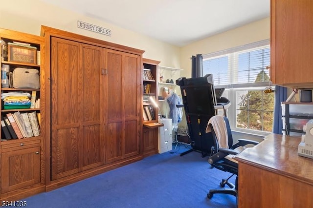 view of carpeted office