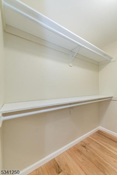 walk in closet featuring light wood finished floors