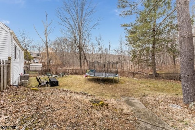 view of yard featuring a fenced backyard and a trampoline