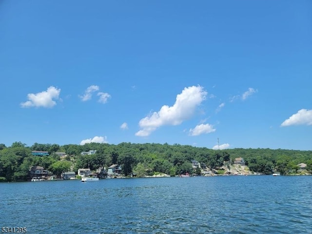 water view featuring a wooded view