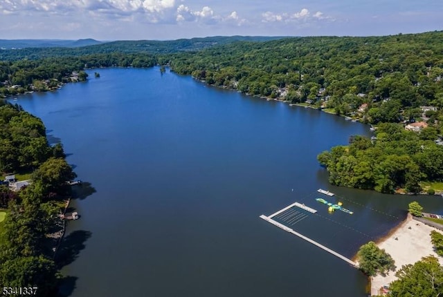 birds eye view of property with a water view and a wooded view