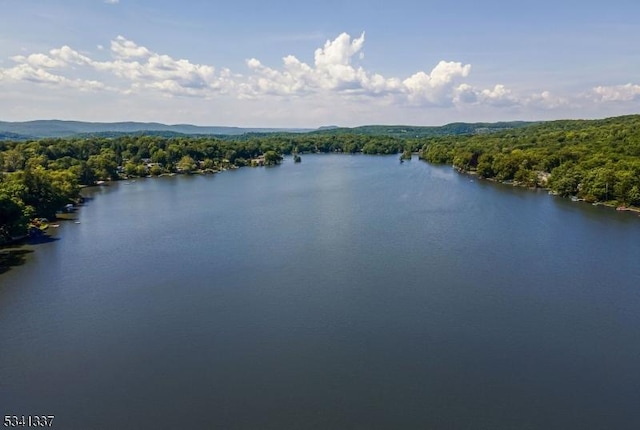 water view with a view of trees