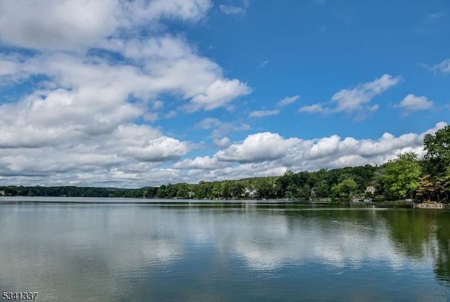 water view with a wooded view