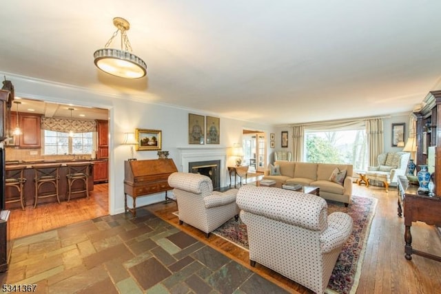 living area featuring crown molding, dark wood finished floors, and a fireplace