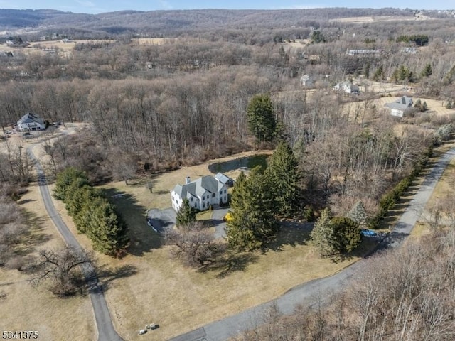 aerial view with a wooded view