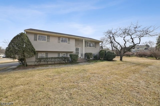 bi-level home featuring a front lawn