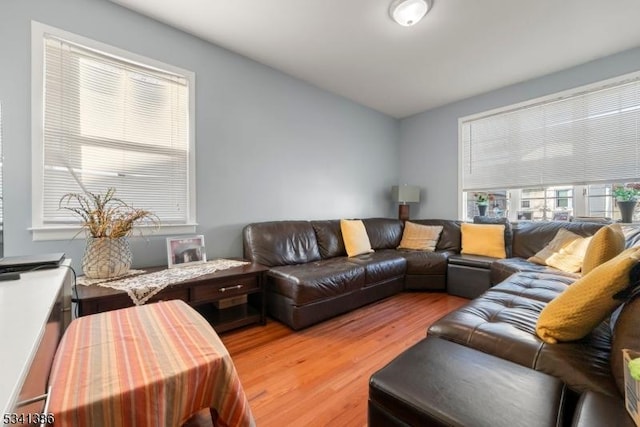 living area with light wood finished floors