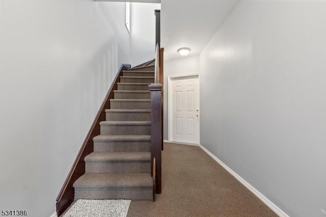 staircase featuring baseboards and carpet flooring