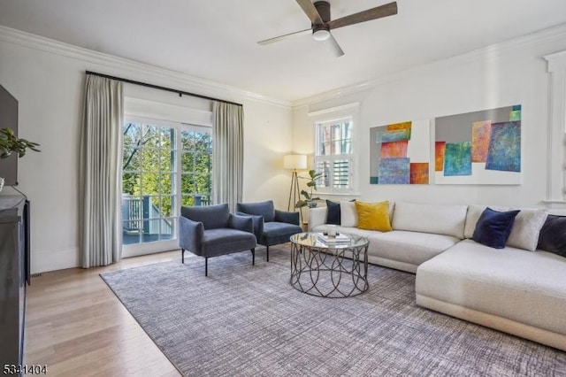 living area featuring crown molding, plenty of natural light, a ceiling fan, and light wood-type flooring