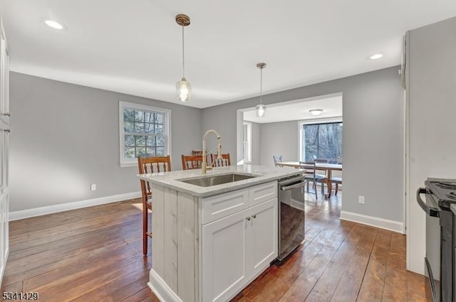 kitchen featuring a sink, plenty of natural light, dark wood-type flooring, and stainless steel dishwasher