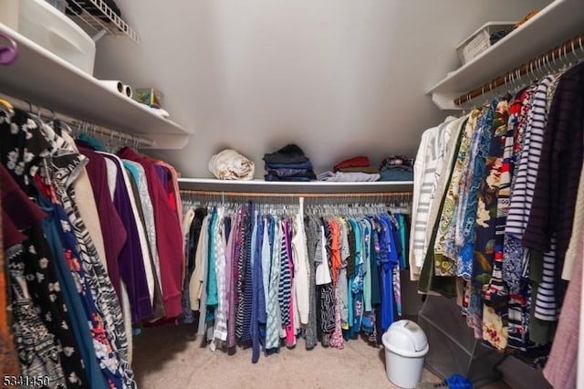 walk in closet featuring carpet flooring