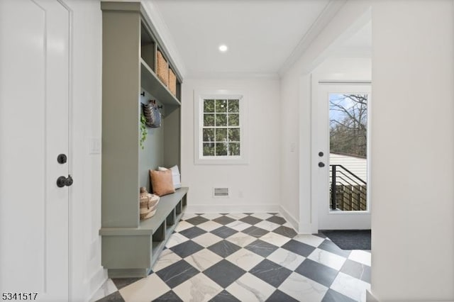 mudroom with crown molding, plenty of natural light, light floors, and baseboards