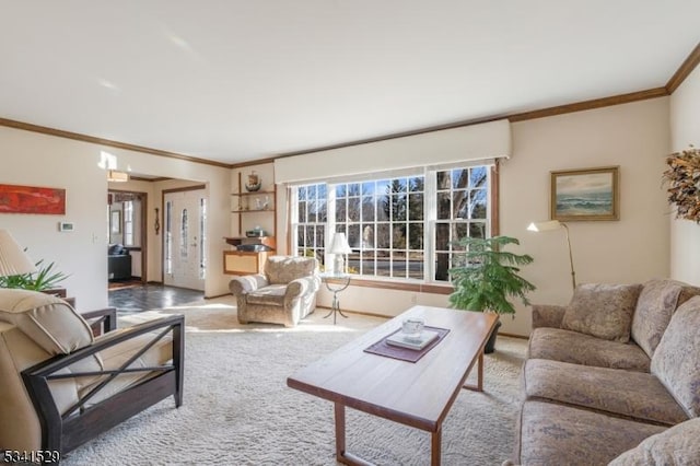 carpeted living area featuring crown molding