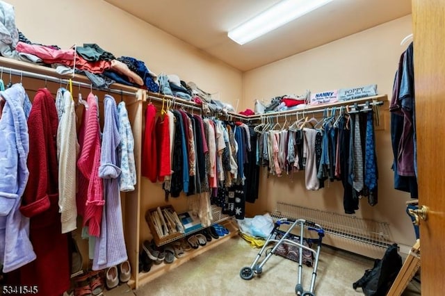 spacious closet featuring carpet flooring