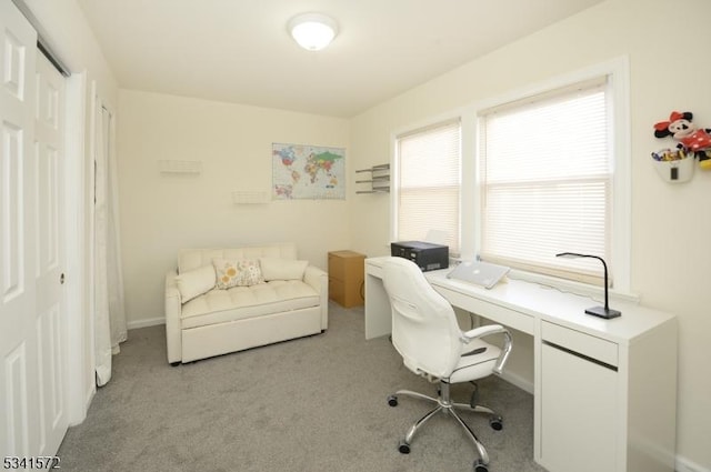 home office with light colored carpet