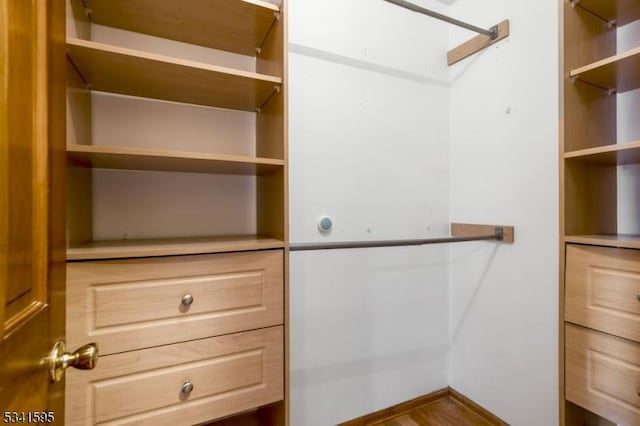 spacious closet featuring a skylight