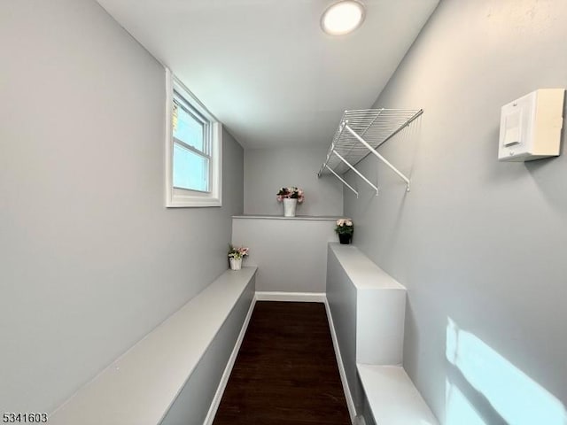 walk in closet with dark wood-type flooring