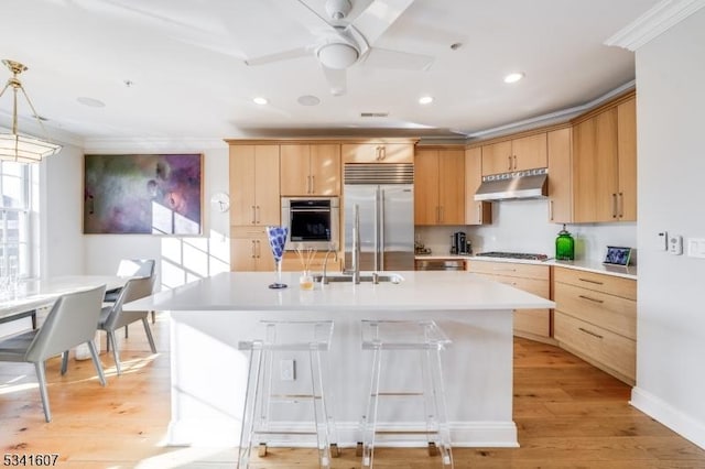 kitchen with light wood-style flooring, stainless steel appliances, crown molding, under cabinet range hood, and light brown cabinets