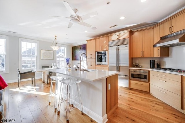 kitchen with appliances with stainless steel finishes, a sink, under cabinet range hood, and light wood finished floors