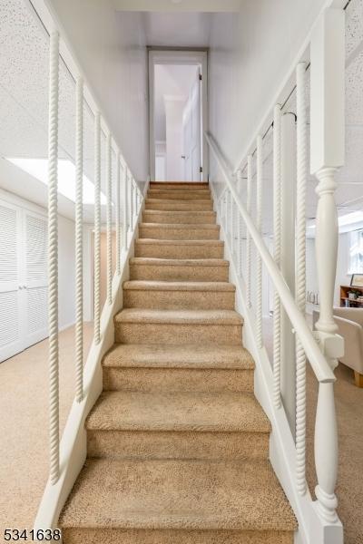 stairway with carpet floors