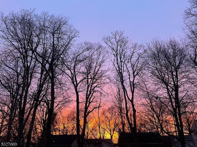 view of nature at dusk