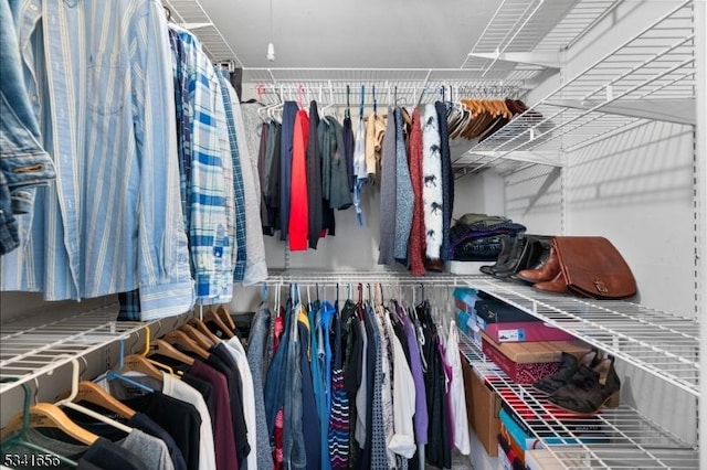 view of spacious closet