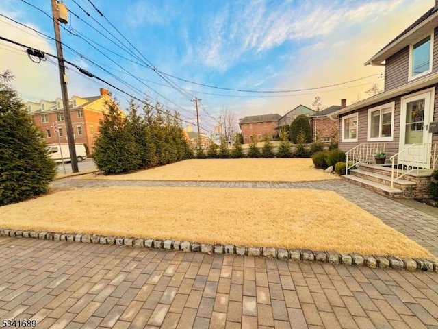 view of yard featuring entry steps