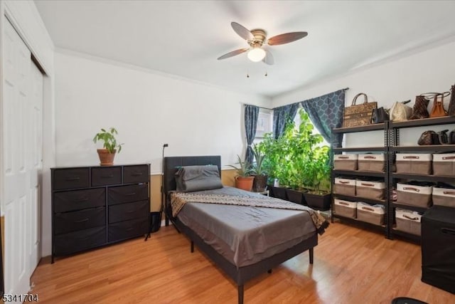 bedroom featuring light wood-style floors and a closet