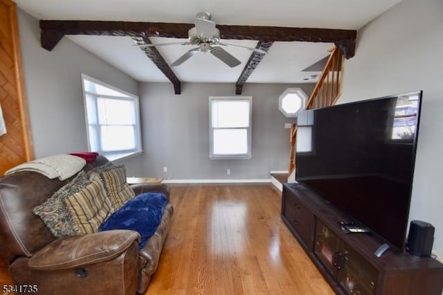 living room featuring ceiling fan, beamed ceiling, light wood-type flooring, and baseboards