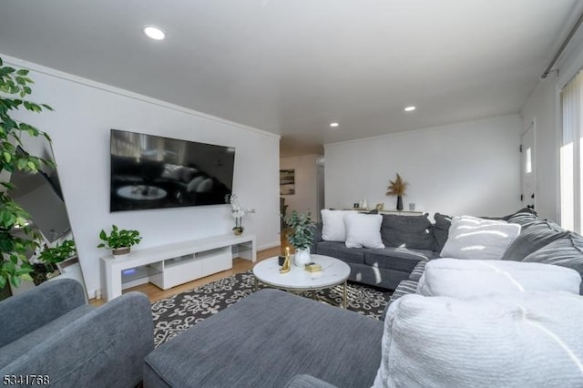 living room featuring wood finished floors and recessed lighting