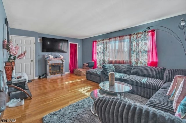 living area featuring wood finished floors and a fireplace