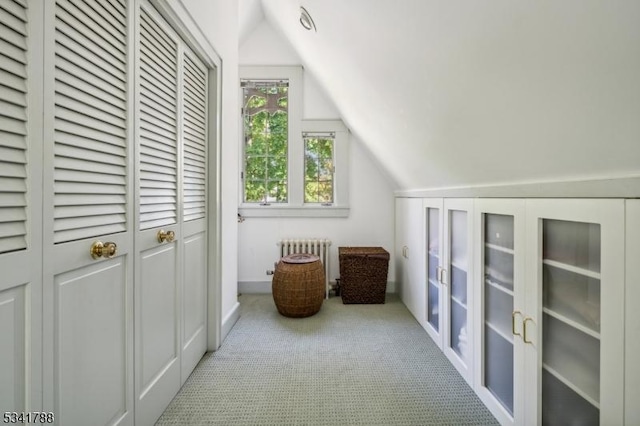 additional living space featuring radiator heating unit, vaulted ceiling, and carpet flooring