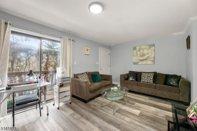 living area with wood finished floors and crown molding