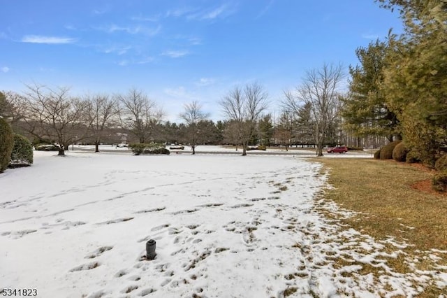 view of yard layered in snow