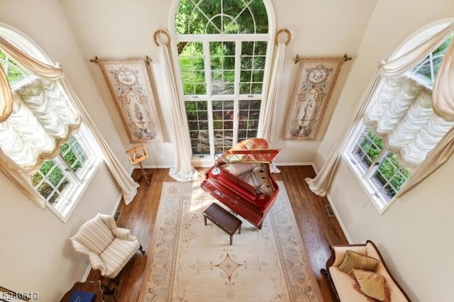 living area featuring a healthy amount of sunlight and wood finished floors