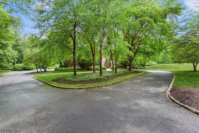 view of road featuring curbs