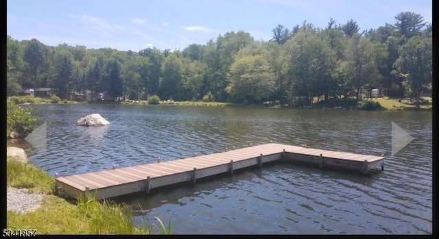 dock area featuring a wooded view and a water view