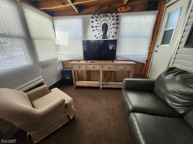 living room featuring dark colored carpet